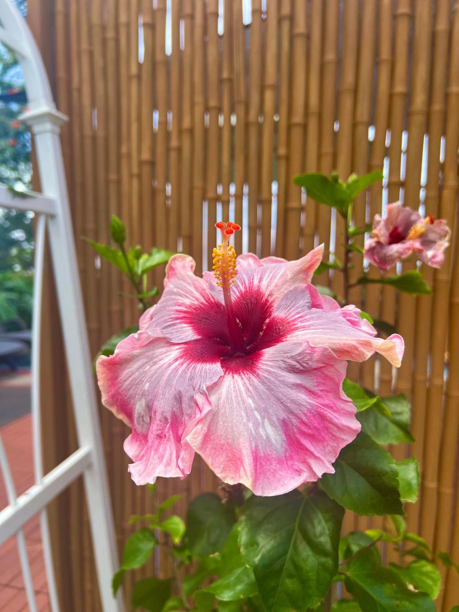 Kailua Kona Overlook Suites Zewnętrze zdjęcie