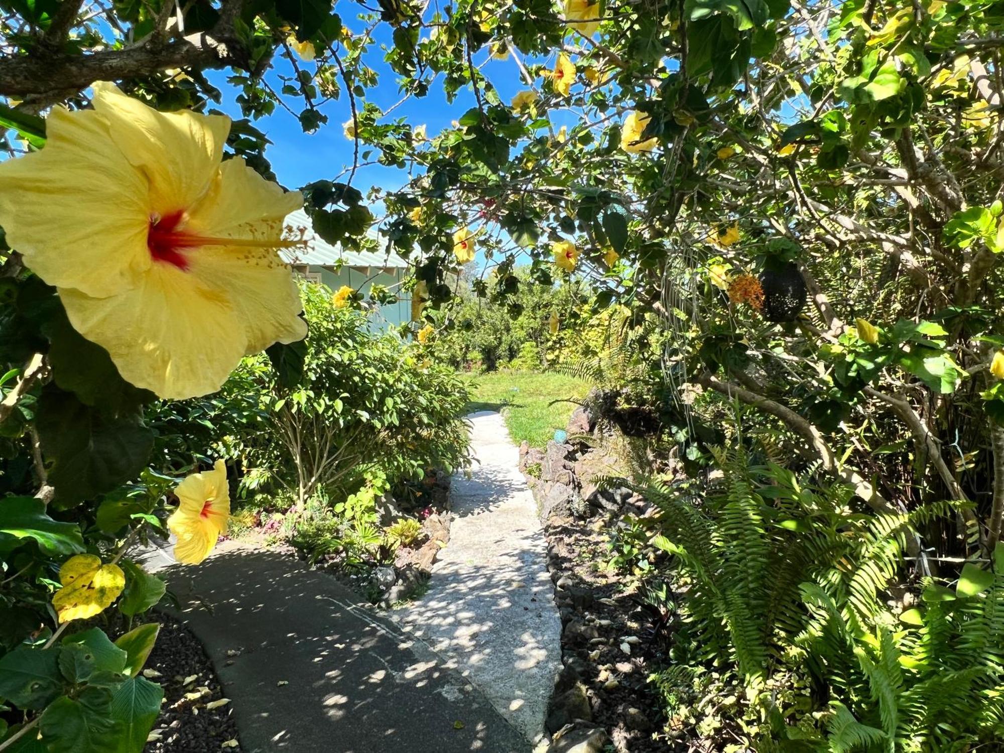 Kailua Kona Overlook Suites Zewnętrze zdjęcie